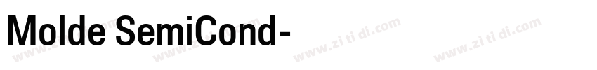 Molde SemiCond字体转换